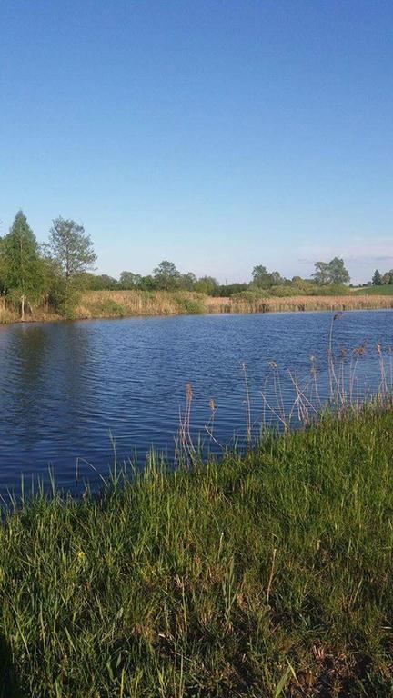 Gospodarstwo Agroturystyczne Zakatek Dabie  Exterior photo